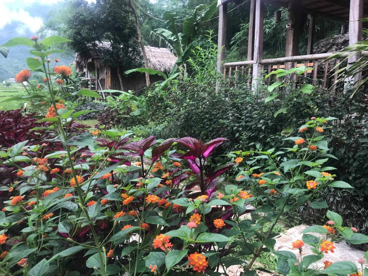 Little Mai Chau Home Stay Экстерьер фото